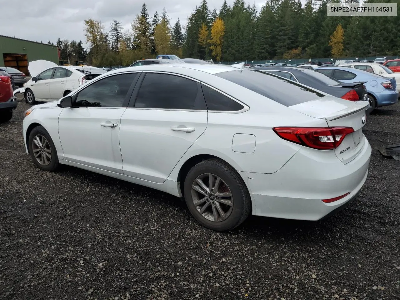 5NPE24AF7FH164531 2015 Hyundai Sonata Se