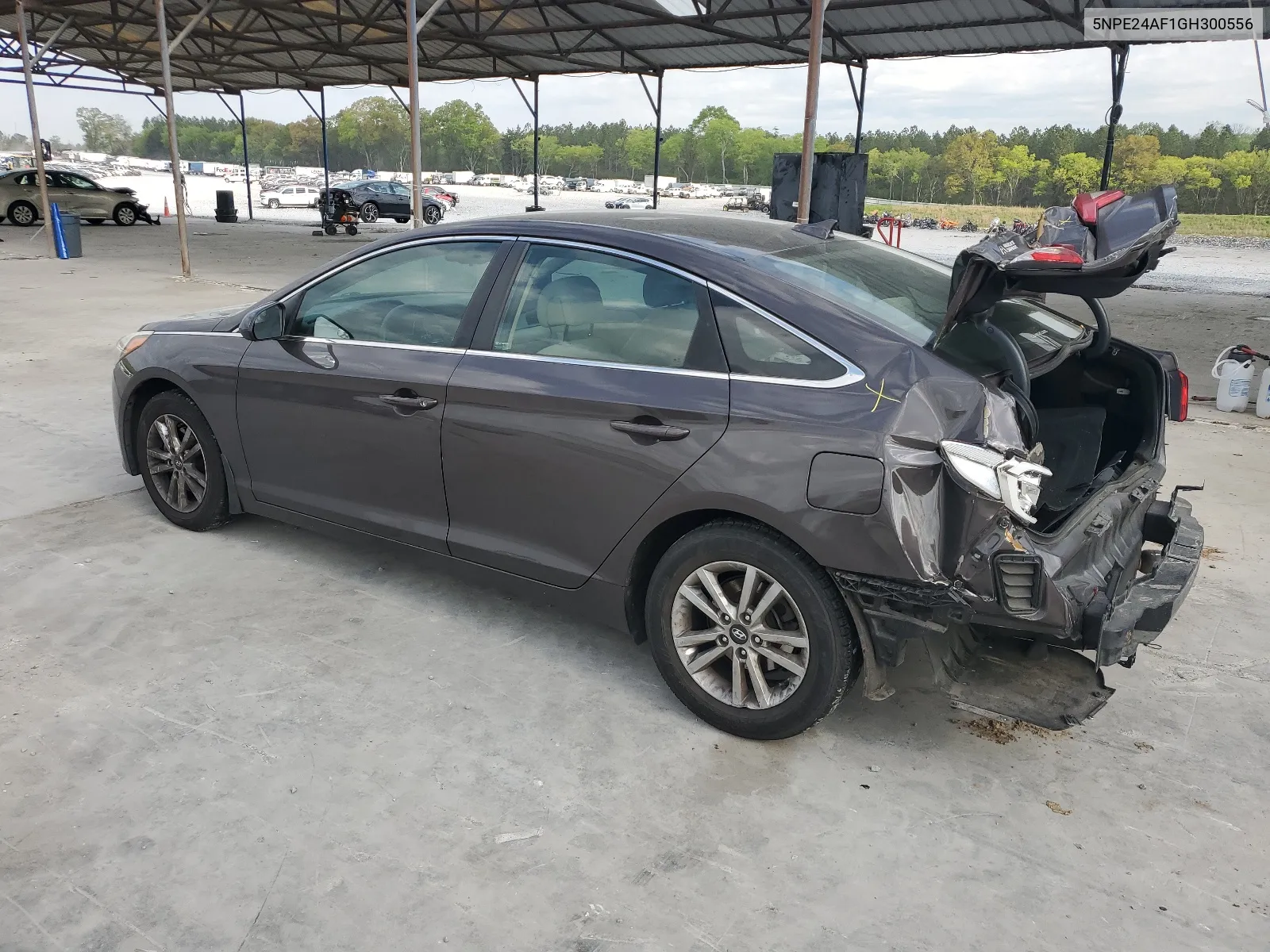 5NPE24AF1GH300556 2016 Hyundai Sonata Se