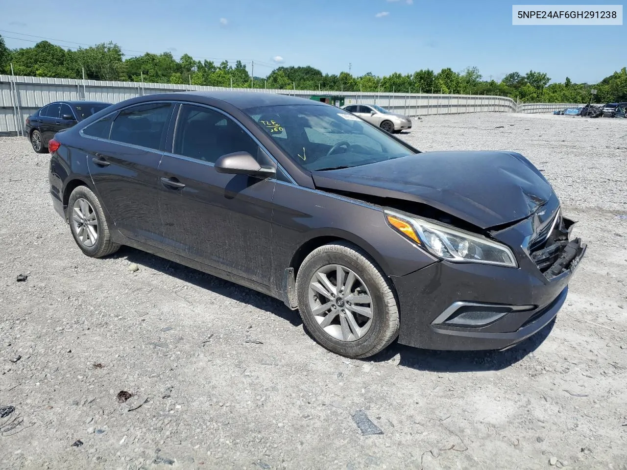 2016 Hyundai Sonata Se VIN: 5NPE24AF6GH291238 Lot: 56654494