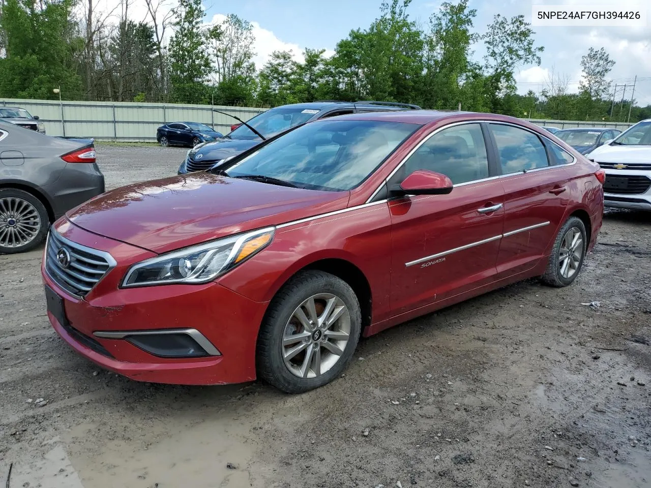 2016 Hyundai Sonata Se VIN: 5NPE24AF7GH394426 Lot: 57999414