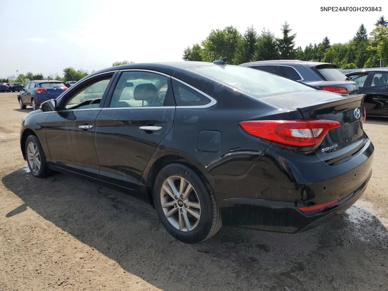 2016 Hyundai Sonata Se VIN: 5NPE24AF0GH293843 Lot: 61007344