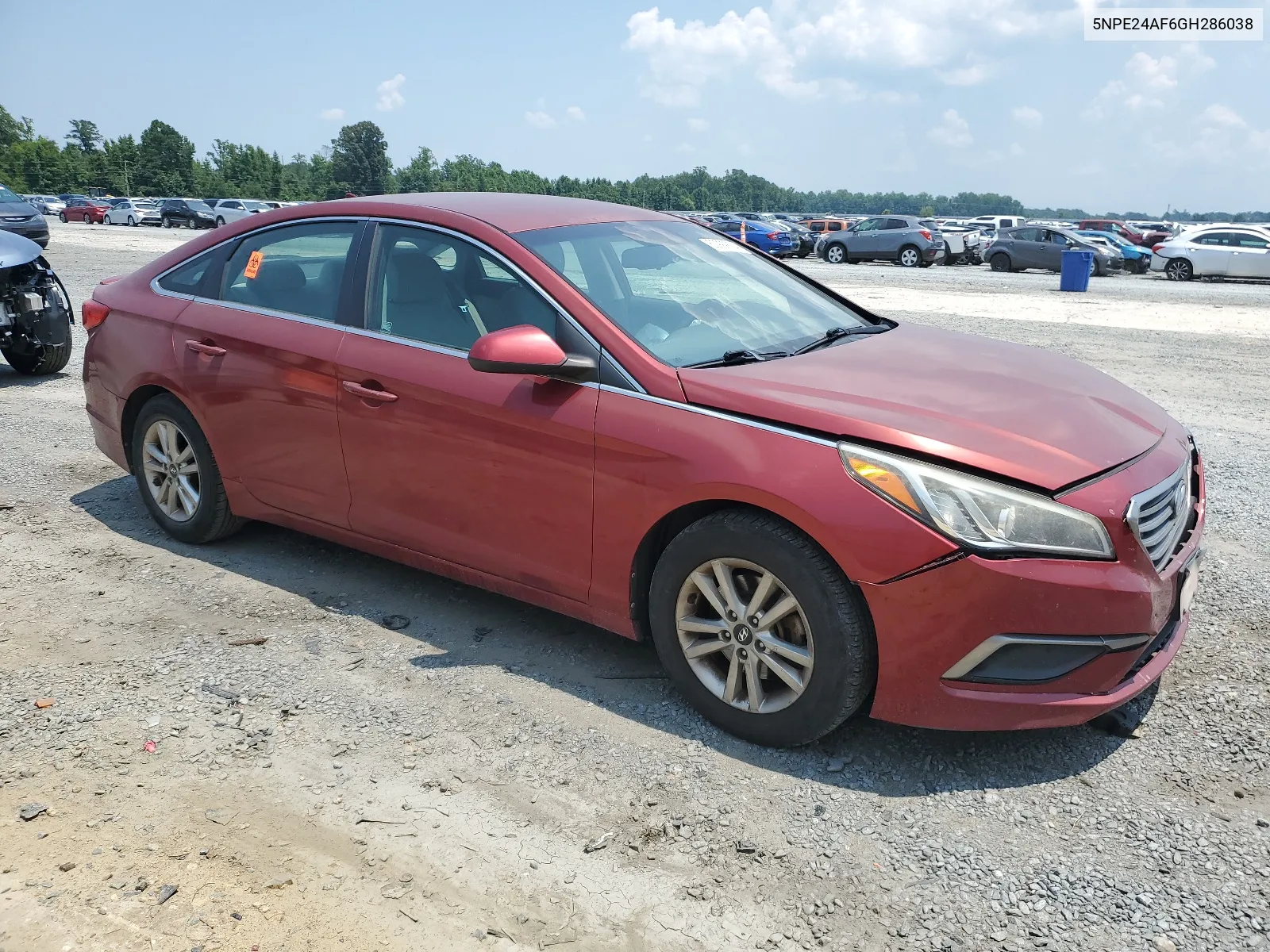 2016 Hyundai Sonata Se VIN: 5NPE24AF6GH286038 Lot: 62999834