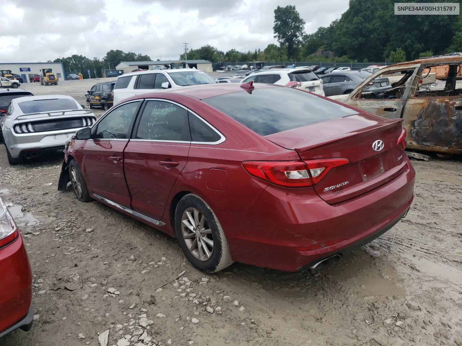 2016 Hyundai Sonata Sport VIN: 5NPE34AF0GH315787 Lot: 64362244