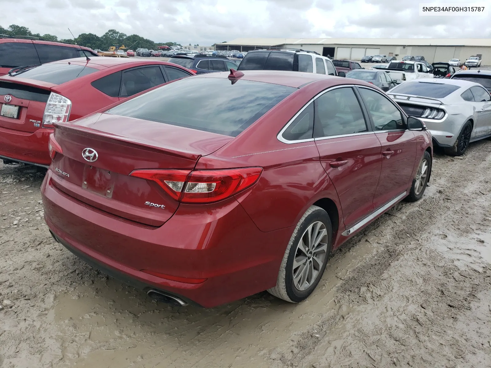 2016 Hyundai Sonata Sport VIN: 5NPE34AF0GH315787 Lot: 64362244