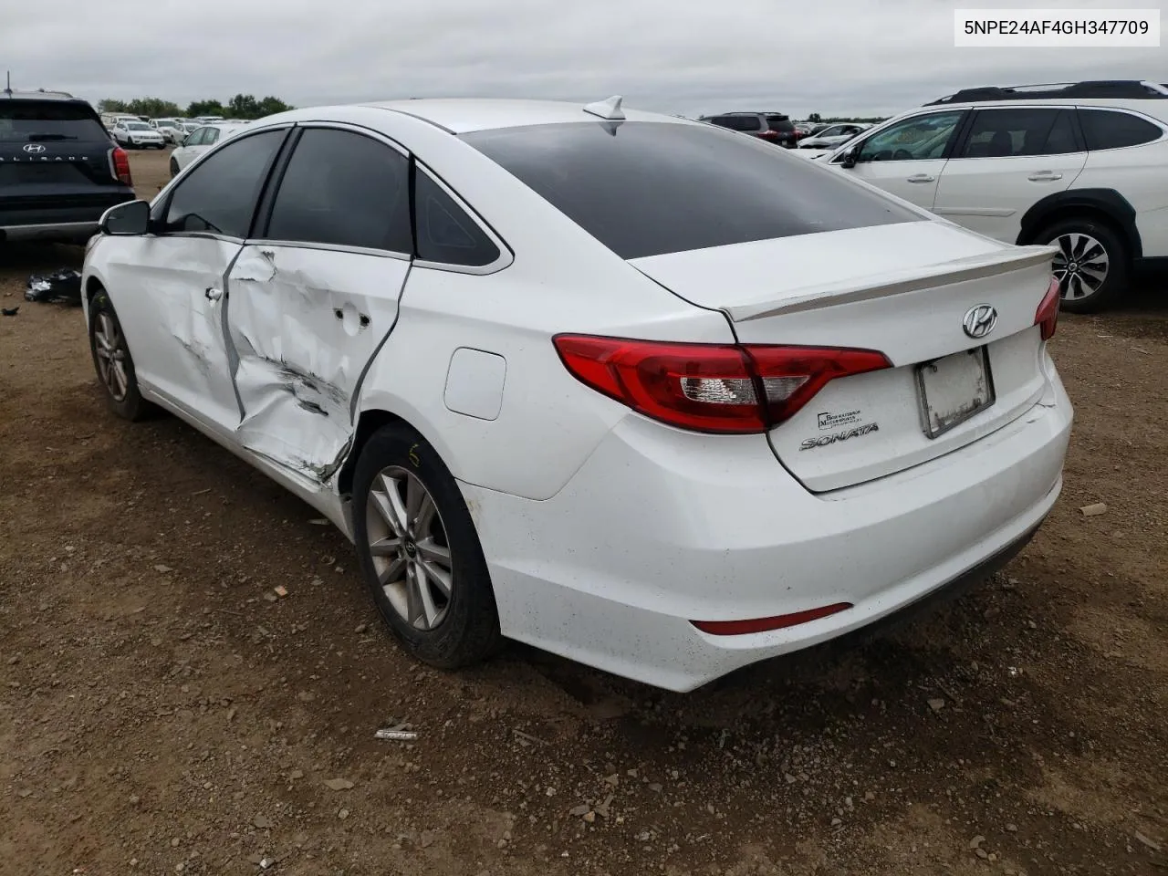 2016 Hyundai Sonata Se VIN: 5NPE24AF4GH347709 Lot: 65814514