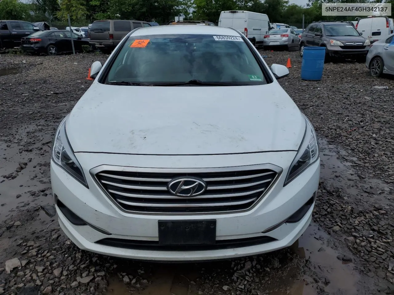 2016 Hyundai Sonata Se VIN: 5NPE24AF4GH342137 Lot: 66859224