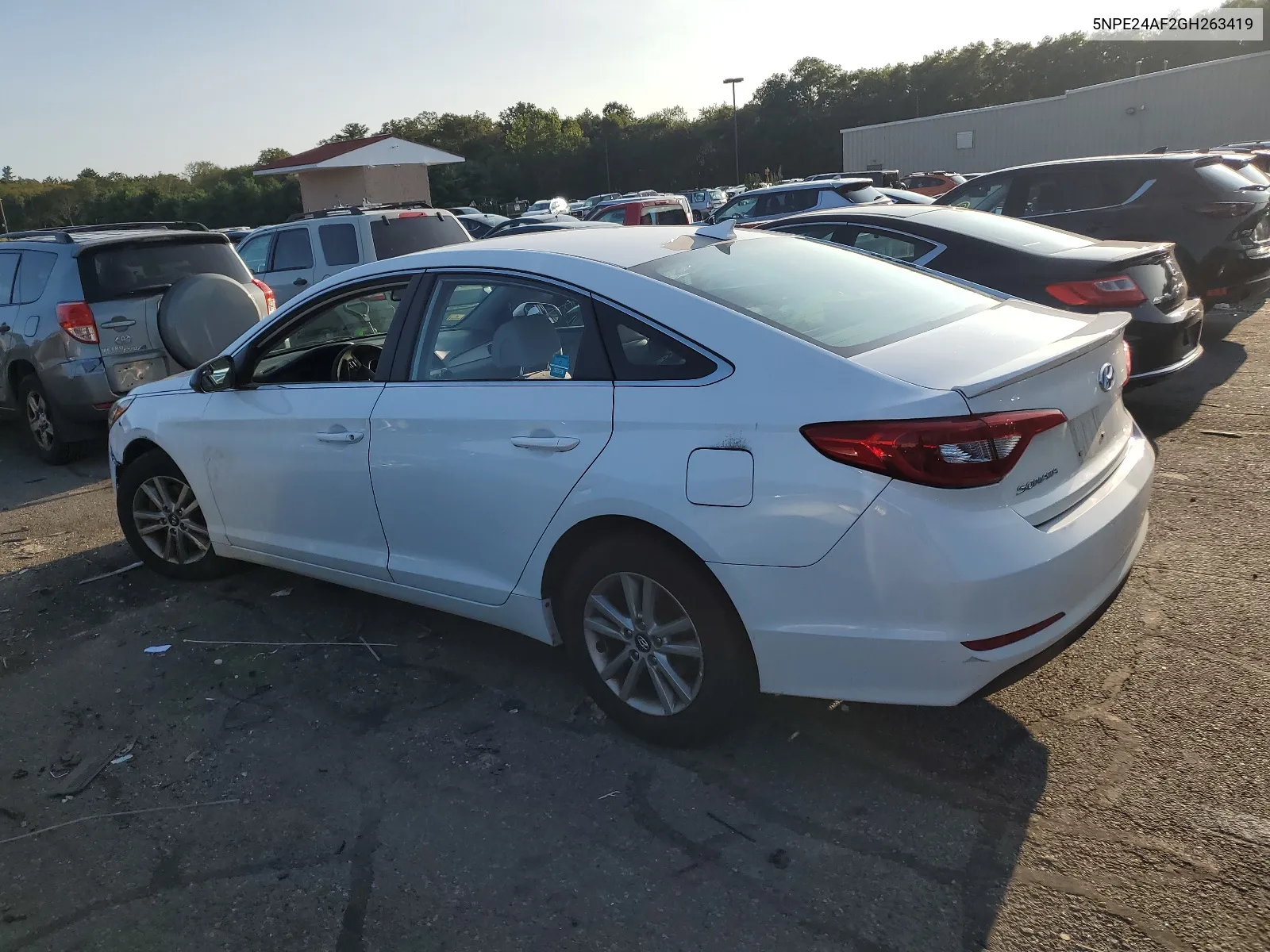 5NPE24AF2GH263419 2016 Hyundai Sonata Se