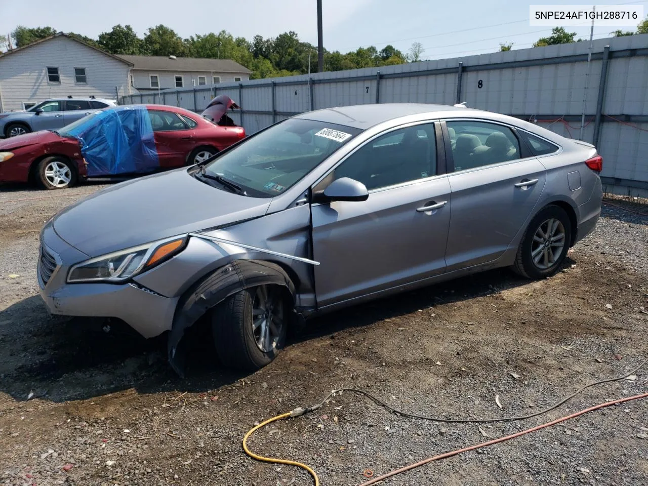 2016 Hyundai Sonata Se VIN: 5NPE24AF1GH288716 Lot: 68867564