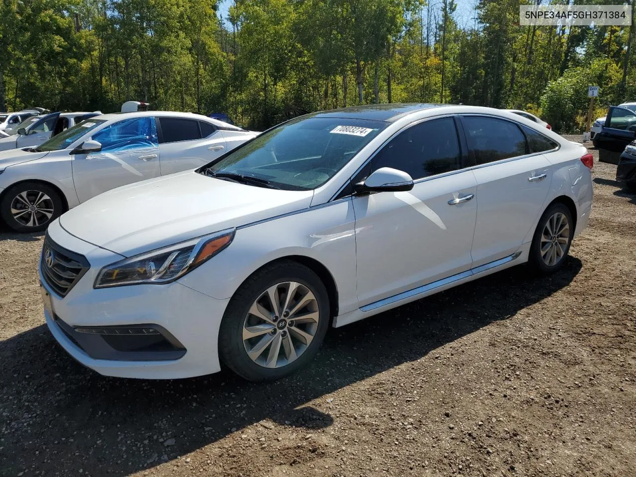 2016 Hyundai Sonata Sport VIN: 5NPE34AF5GH371384 Lot: 70803274