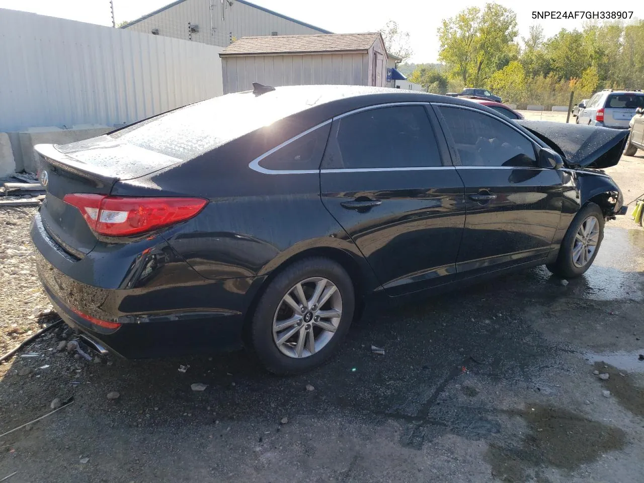 5NPE24AF7GH338907 2016 Hyundai Sonata Se