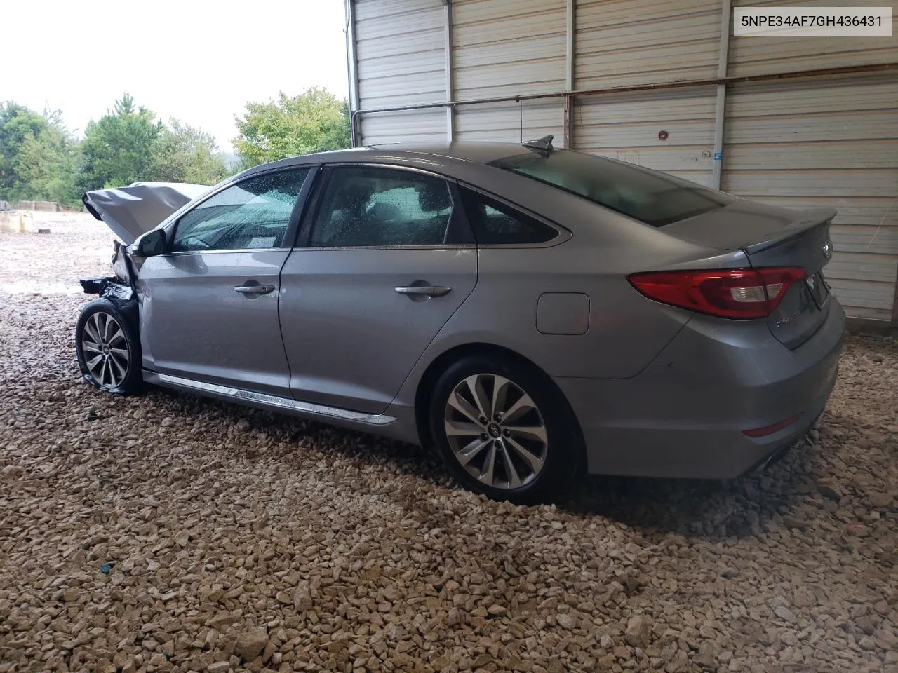 2016 Hyundai Sonata Sport VIN: 5NPE34AF7GH436431 Lot: 71351644