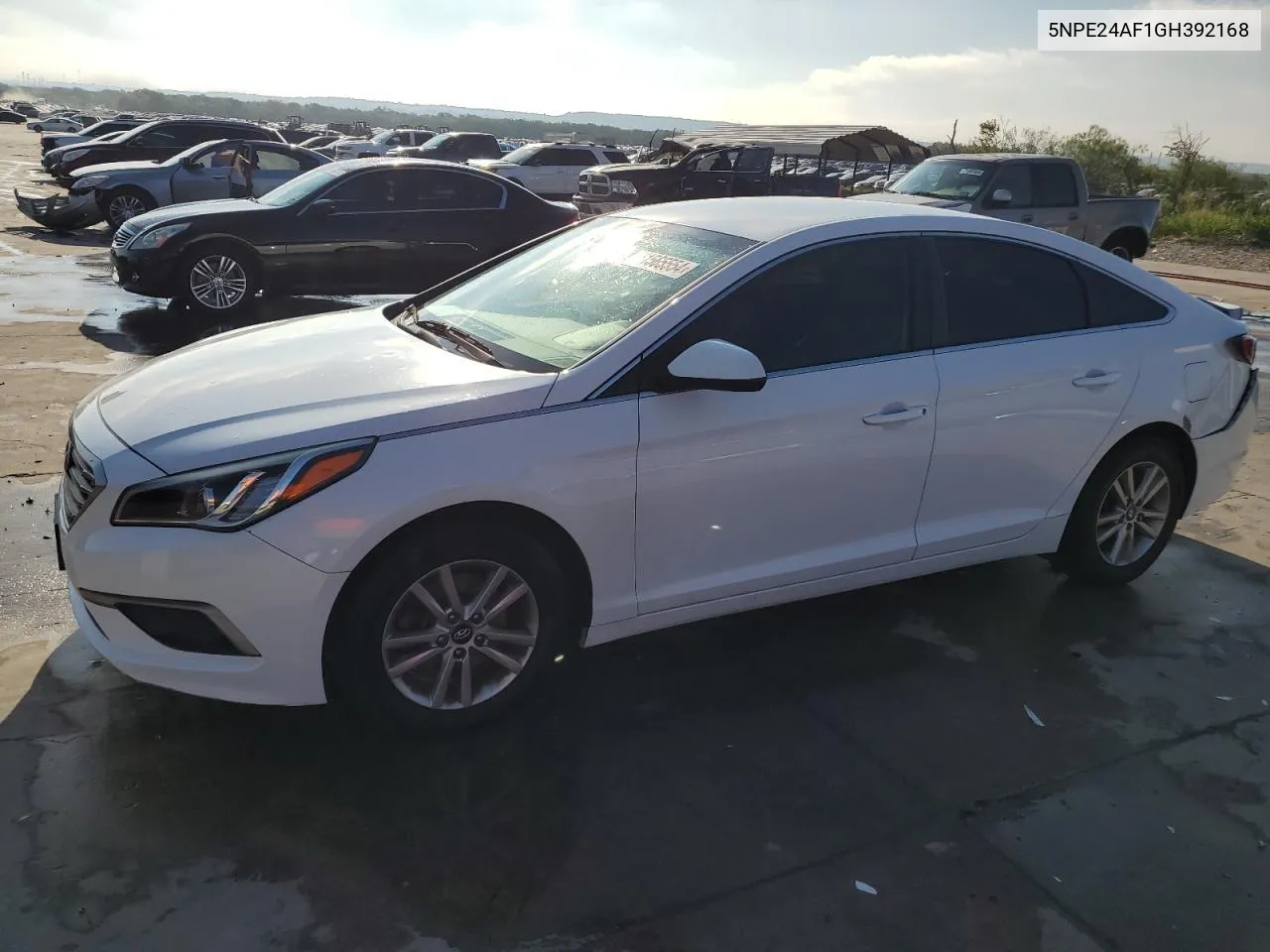 2016 Hyundai Sonata Se VIN: 5NPE24AF1GH392168 Lot: 71565554