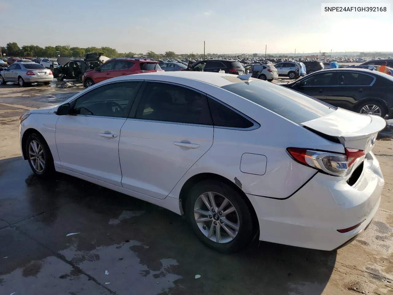 2016 Hyundai Sonata Se VIN: 5NPE24AF1GH392168 Lot: 71565554