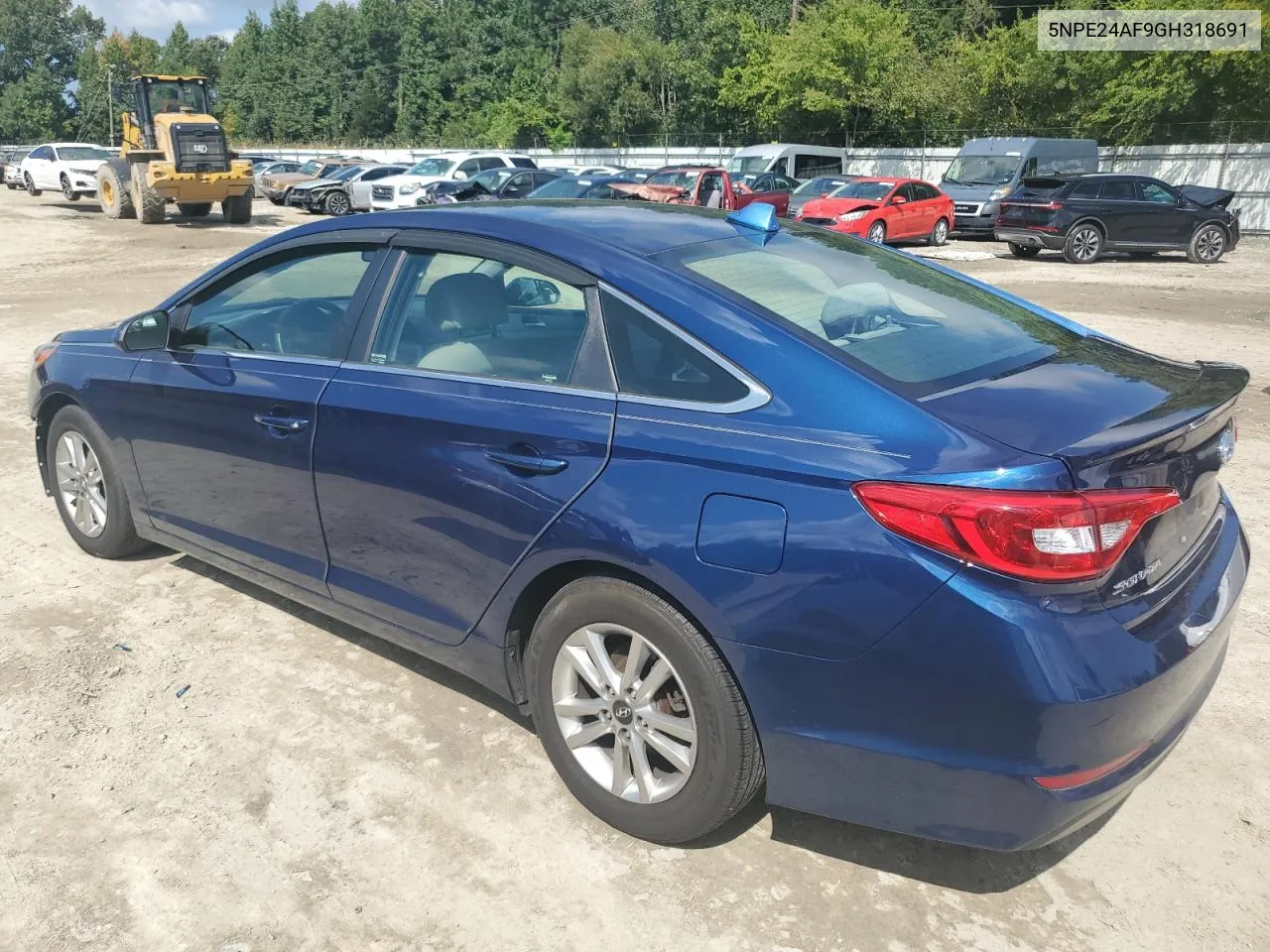 5NPE24AF9GH318691 2016 Hyundai Sonata Se