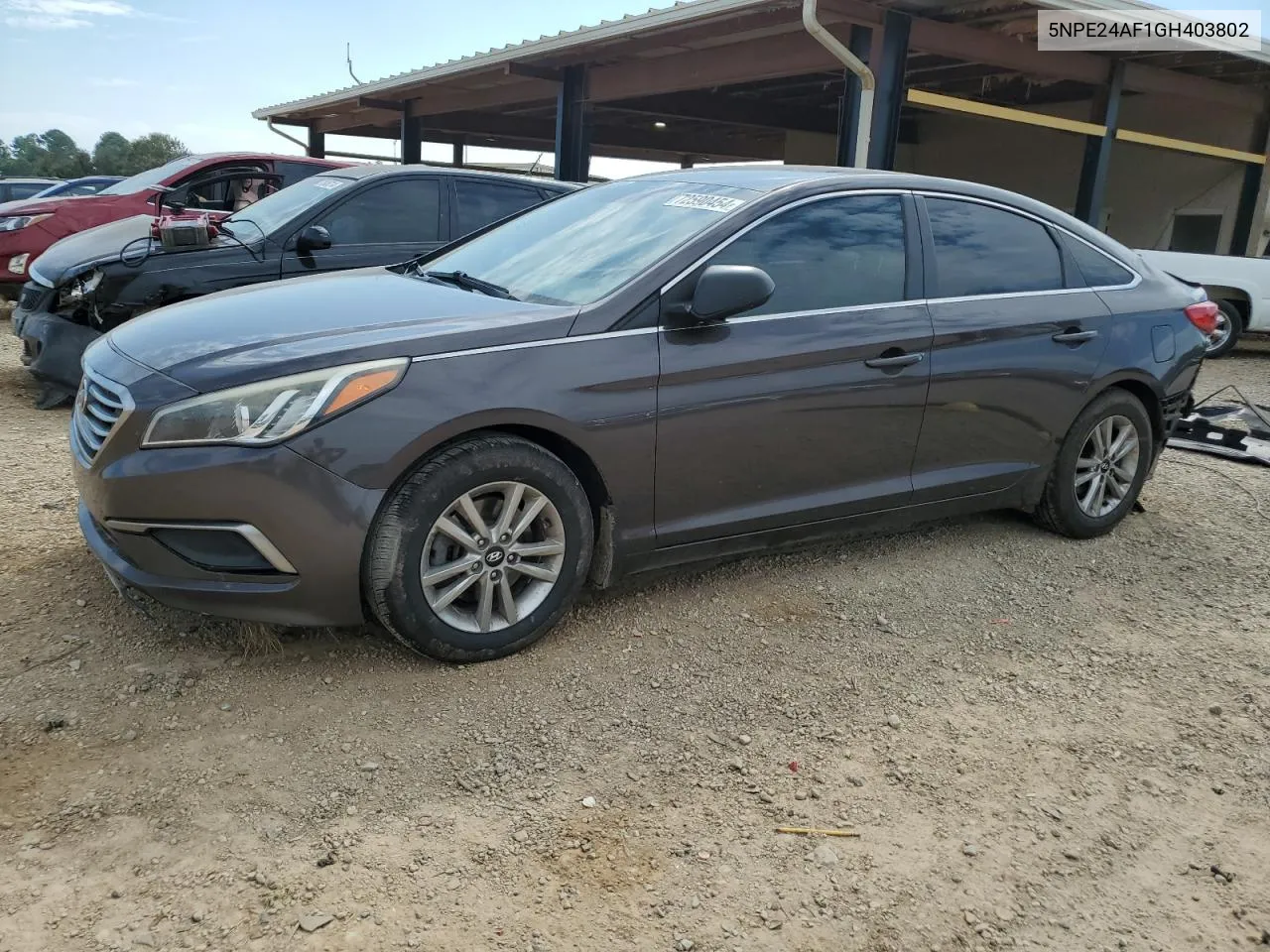 2016 Hyundai Sonata Se VIN: 5NPE24AF1GH403802 Lot: 72590454