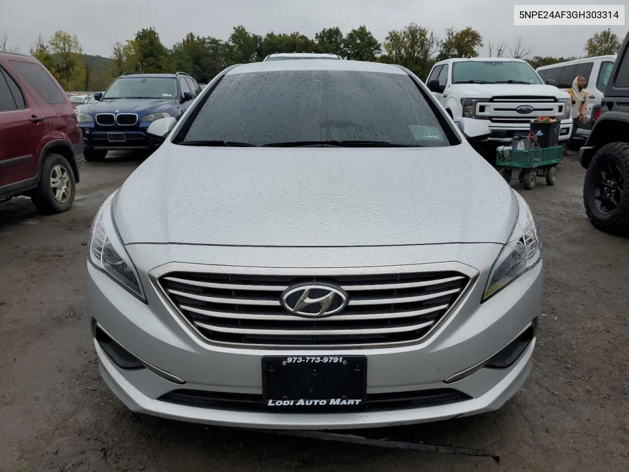 5NPE24AF3GH303314 2016 Hyundai Sonata Se