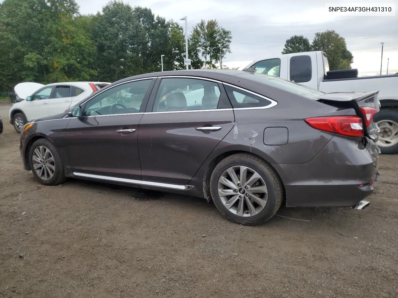 2016 Hyundai Sonata Sport VIN: 5NPE34AF3GH431310 Lot: 72745494