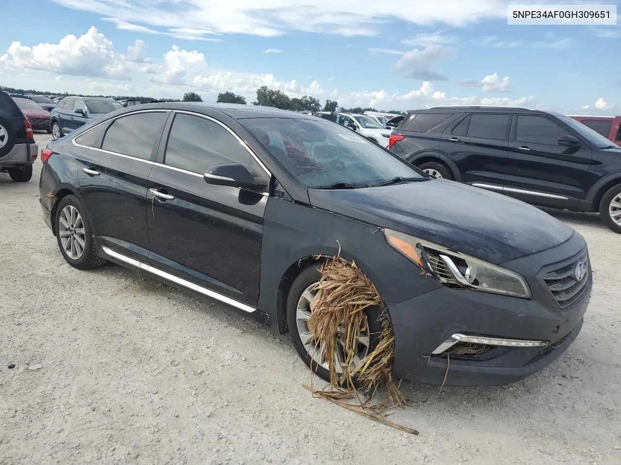 2016 Hyundai Sonata Sport VIN: 5NPE34AF0GH309651 Lot: 73524644