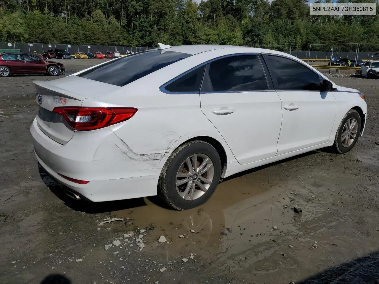 2016 Hyundai Sonata Se VIN: 5NPE24AF7GH350815 Lot: 74486974