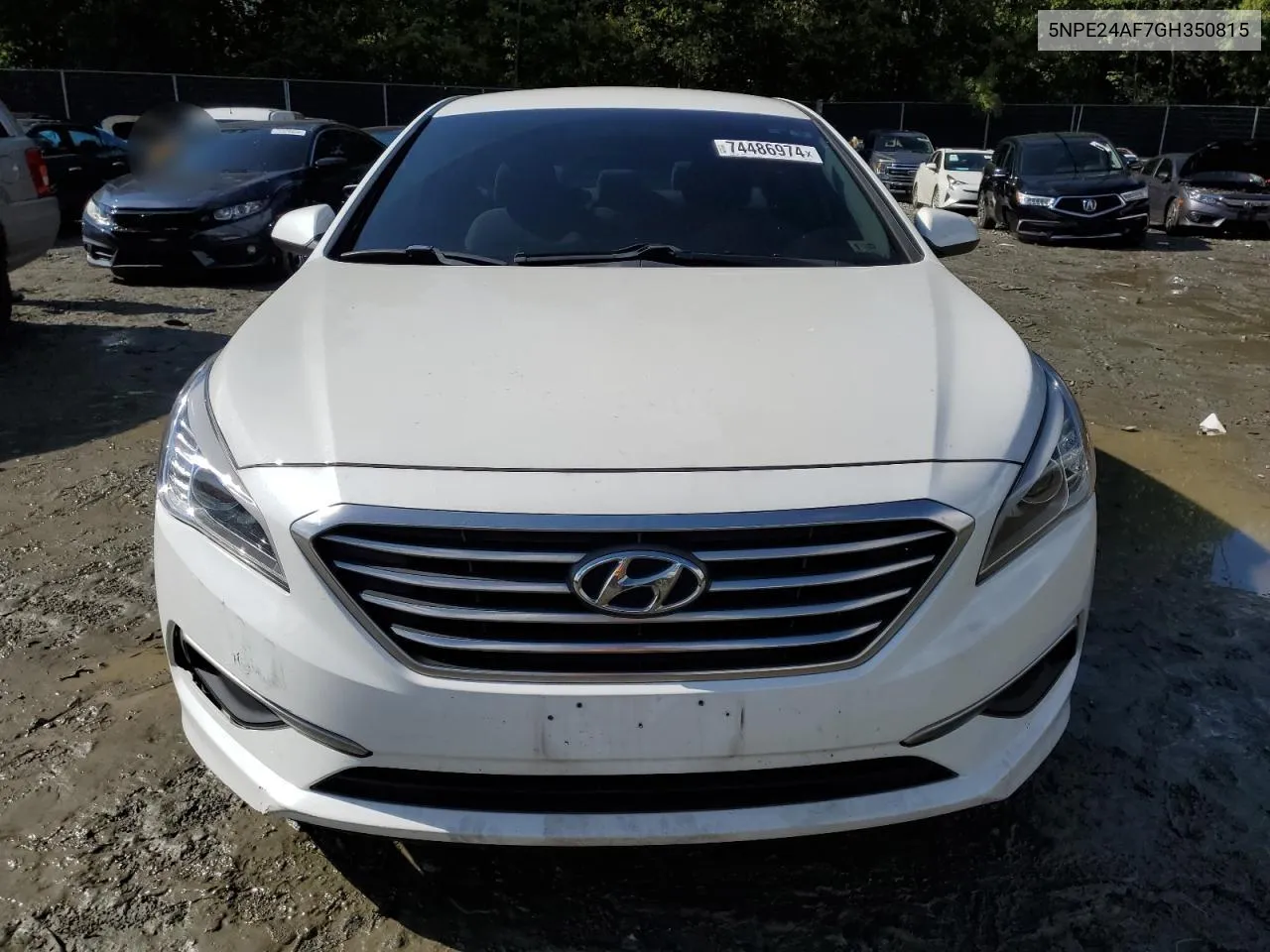 2016 Hyundai Sonata Se VIN: 5NPE24AF7GH350815 Lot: 74486974