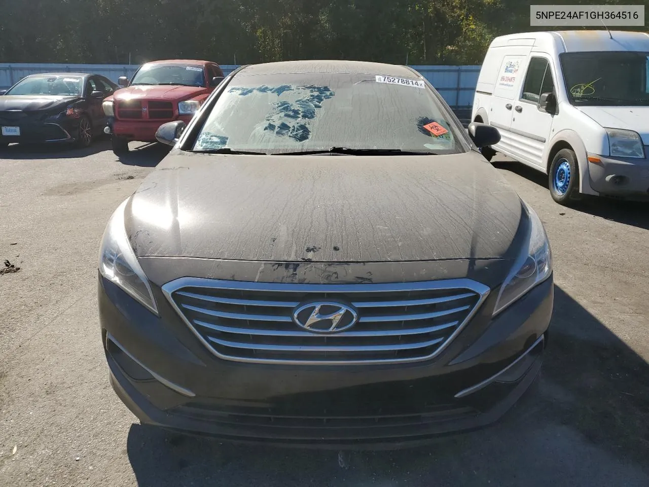 2016 Hyundai Sonata Se VIN: 5NPE24AF1GH364516 Lot: 75278814