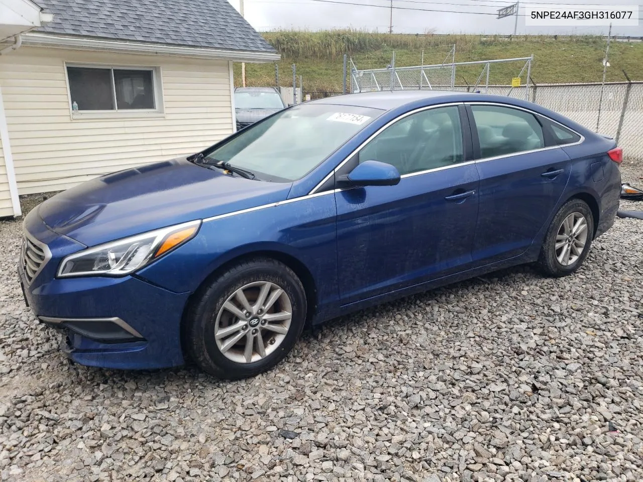 2016 Hyundai Sonata Se VIN: 5NPE24AF3GH316077 Lot: 76177154