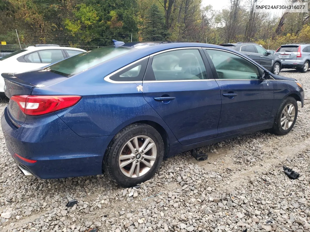 2016 Hyundai Sonata Se VIN: 5NPE24AF3GH316077 Lot: 76177154