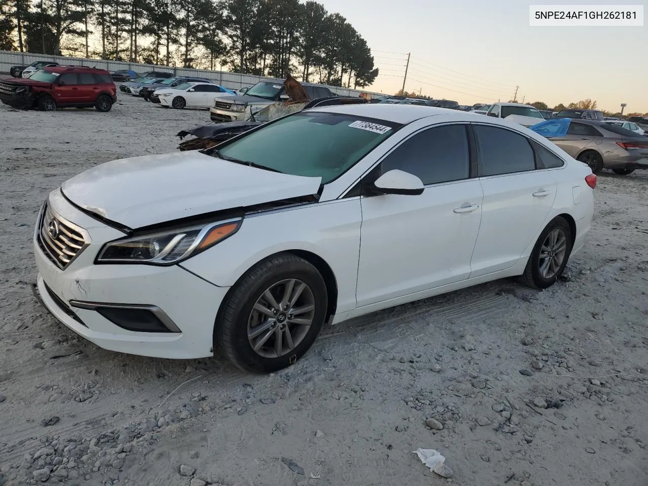 2016 Hyundai Sonata Se VIN: 5NPE24AF1GH262181 Lot: 77384544