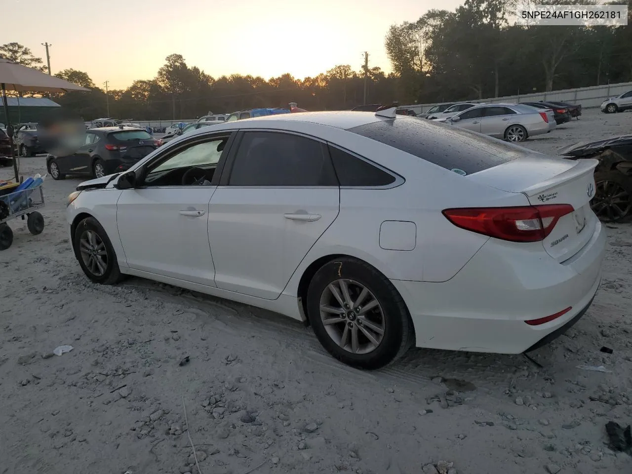 2016 Hyundai Sonata Se VIN: 5NPE24AF1GH262181 Lot: 77384544