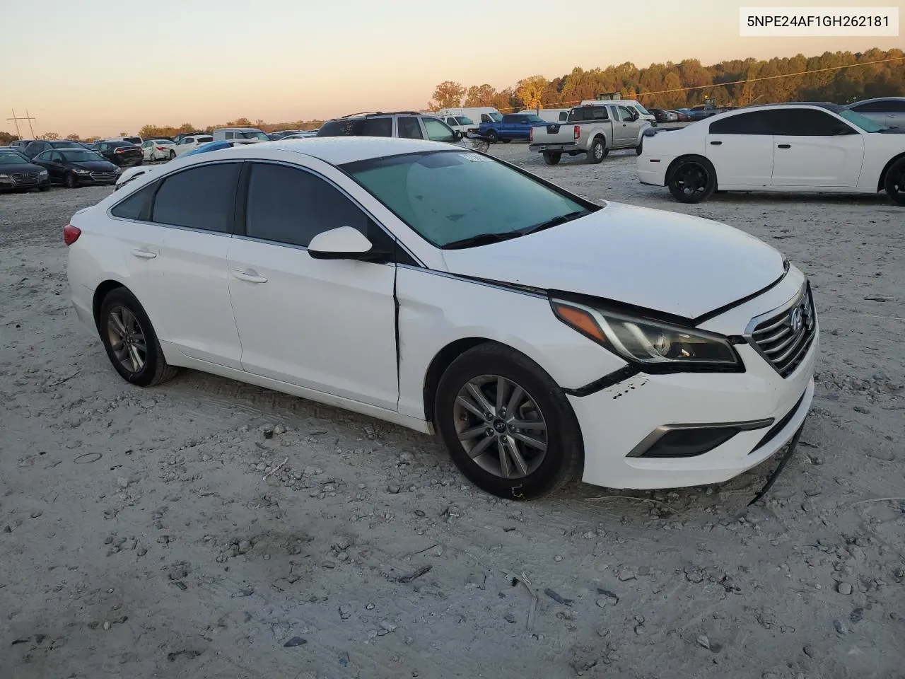 2016 Hyundai Sonata Se VIN: 5NPE24AF1GH262181 Lot: 77384544