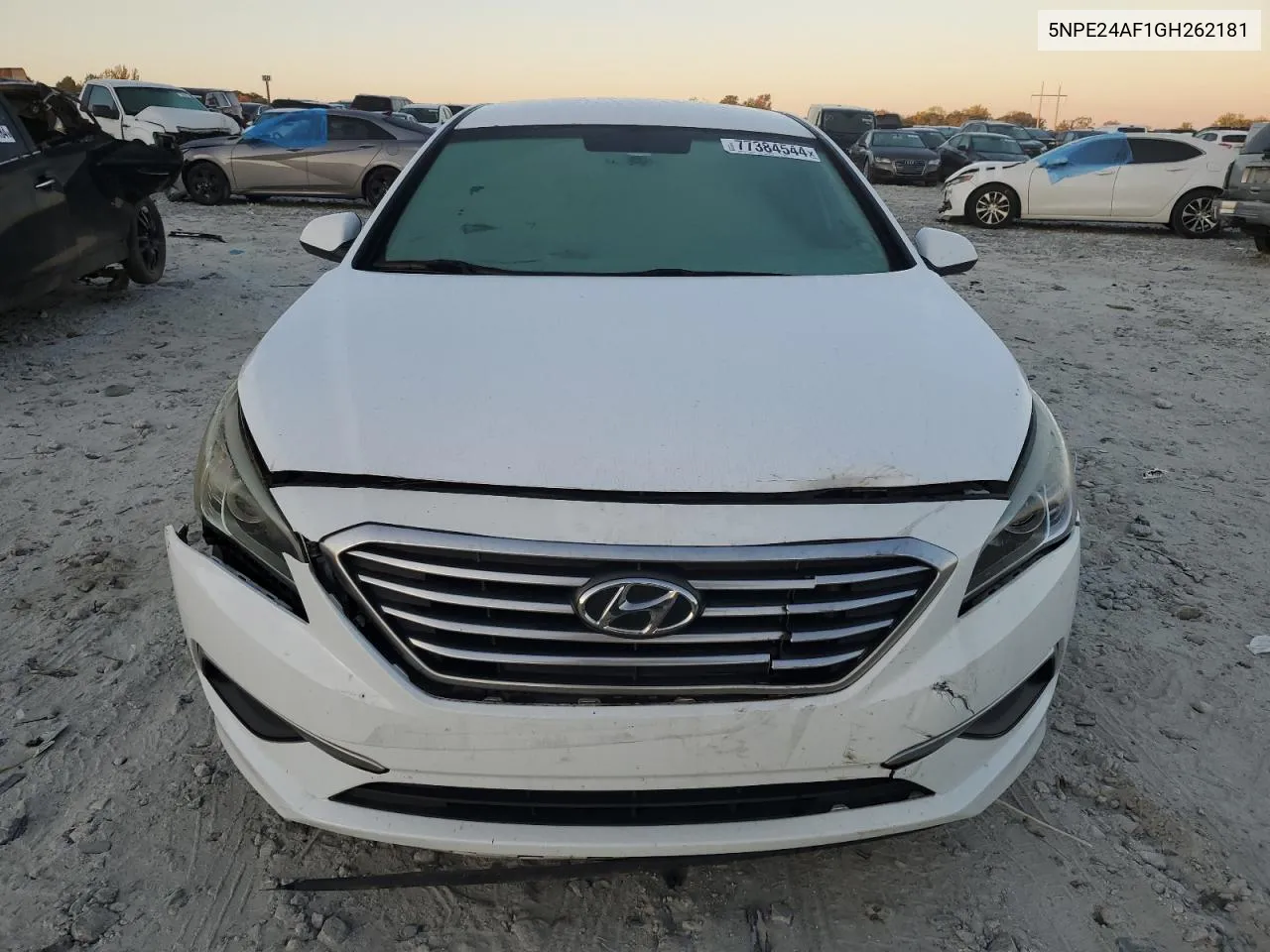 2016 Hyundai Sonata Se VIN: 5NPE24AF1GH262181 Lot: 77384544