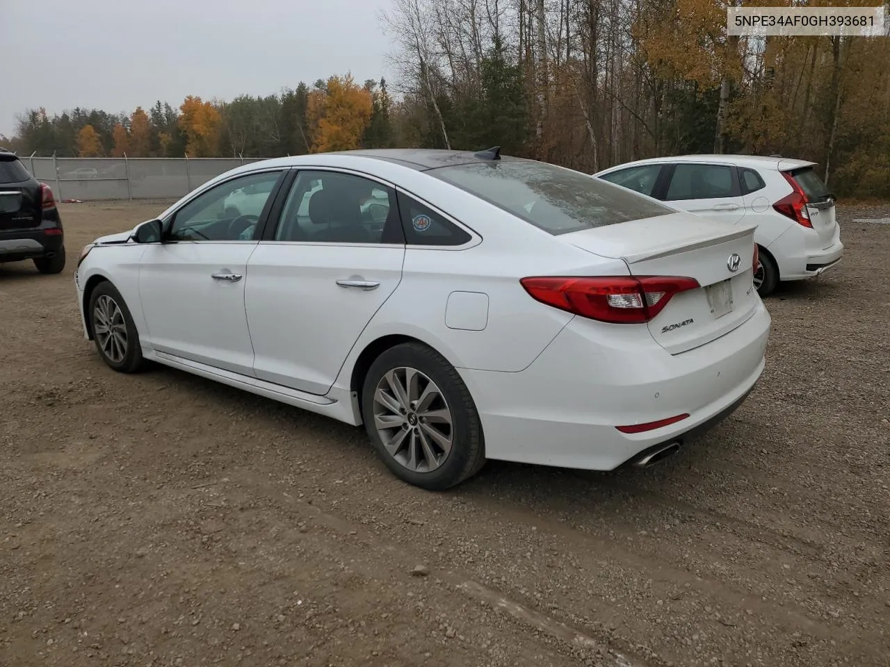 2016 Hyundai Sonata Sport VIN: 5NPE34AF0GH393681 Lot: 77552774