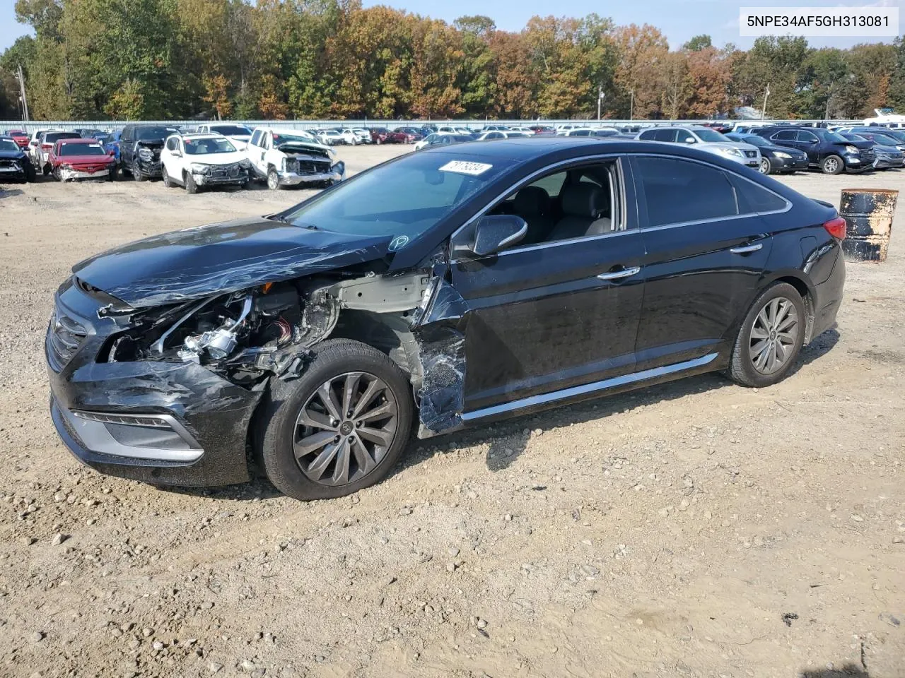 2016 Hyundai Sonata Sport VIN: 5NPE34AF5GH313081 Lot: 78179334