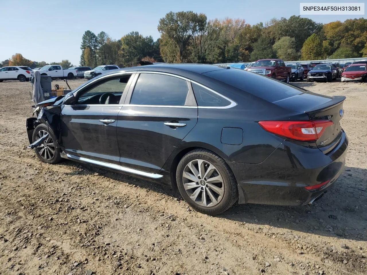 2016 Hyundai Sonata Sport VIN: 5NPE34AF5GH313081 Lot: 78179334