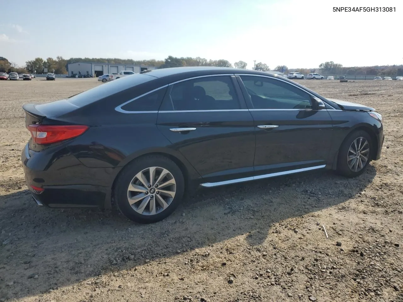 2016 Hyundai Sonata Sport VIN: 5NPE34AF5GH313081 Lot: 78179334