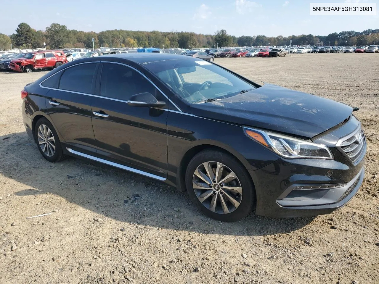 2016 Hyundai Sonata Sport VIN: 5NPE34AF5GH313081 Lot: 78179334