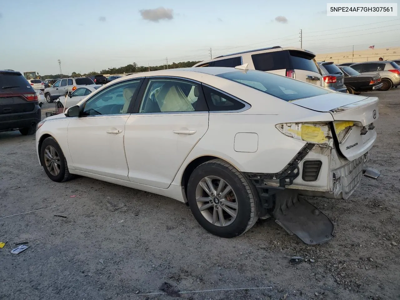 2016 Hyundai Sonata Se VIN: 5NPE24AF7GH307561 Lot: 79388204