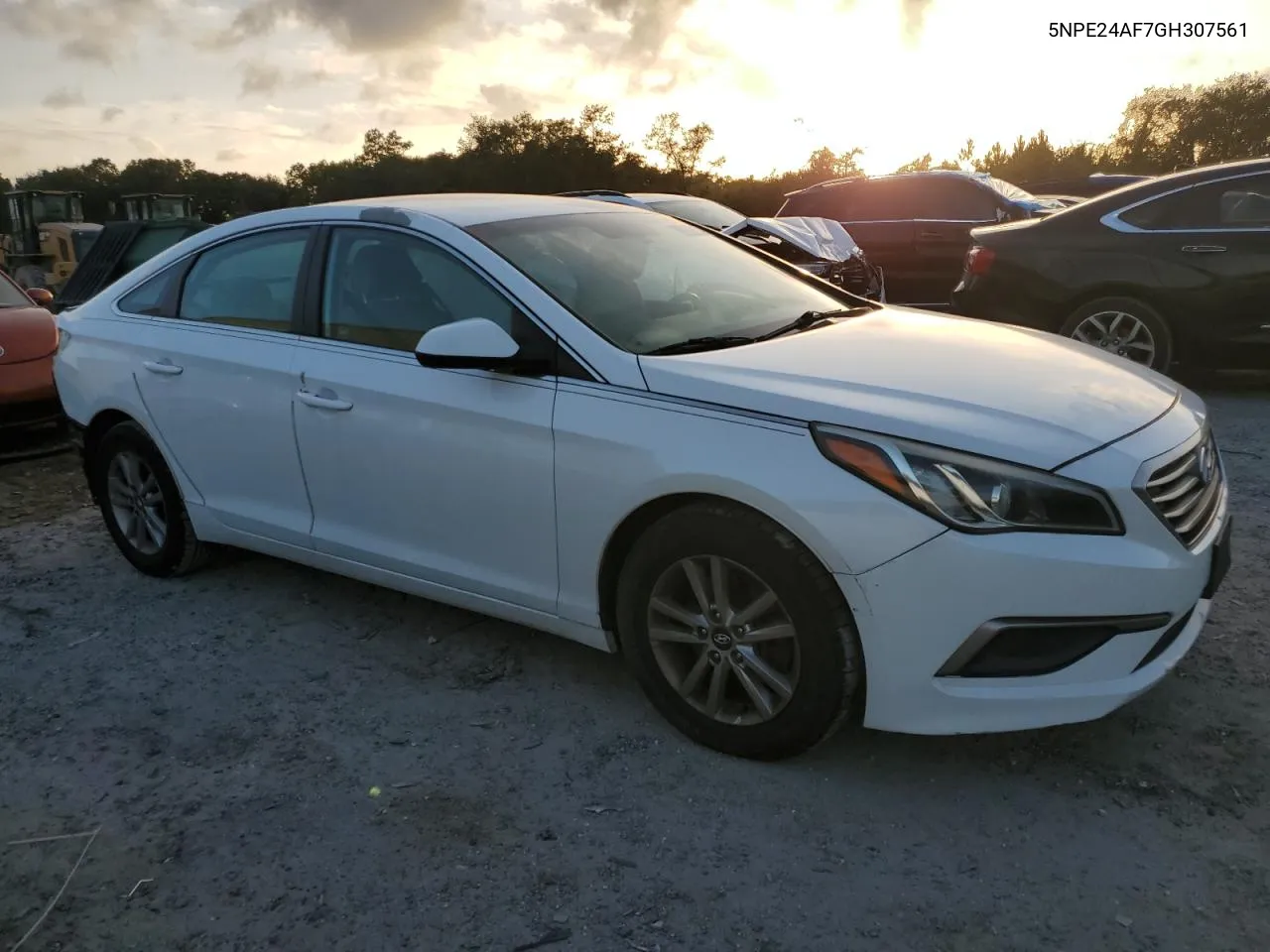 2016 Hyundai Sonata Se VIN: 5NPE24AF7GH307561 Lot: 79388204