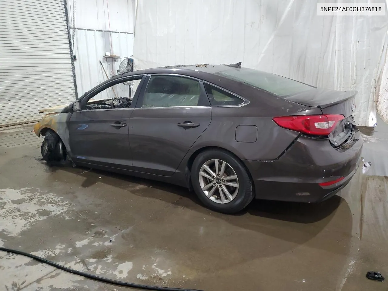 2016 Hyundai Sonata Se VIN: 5NPE24AF0GH376818 Lot: 79542254