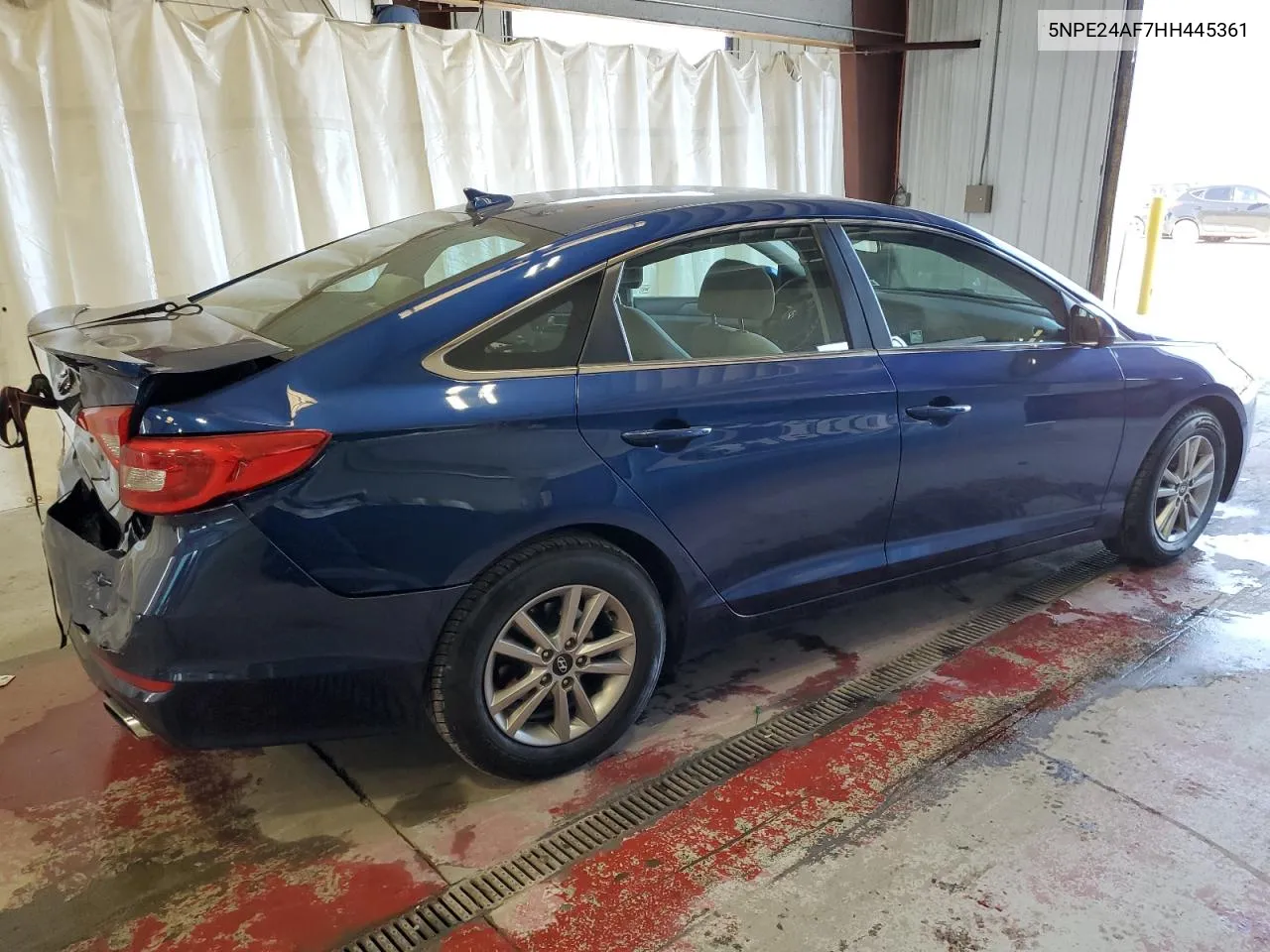 2017 Hyundai Sonata Se VIN: 5NPE24AF7HH445361 Lot: 77127704