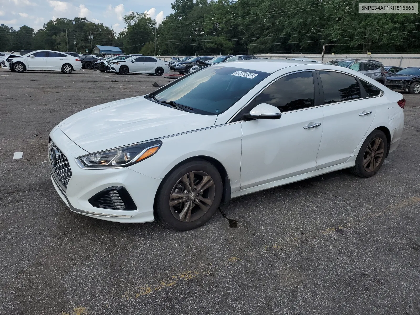 5NPE34AF1KH816566 2019 Hyundai Sonata Limited