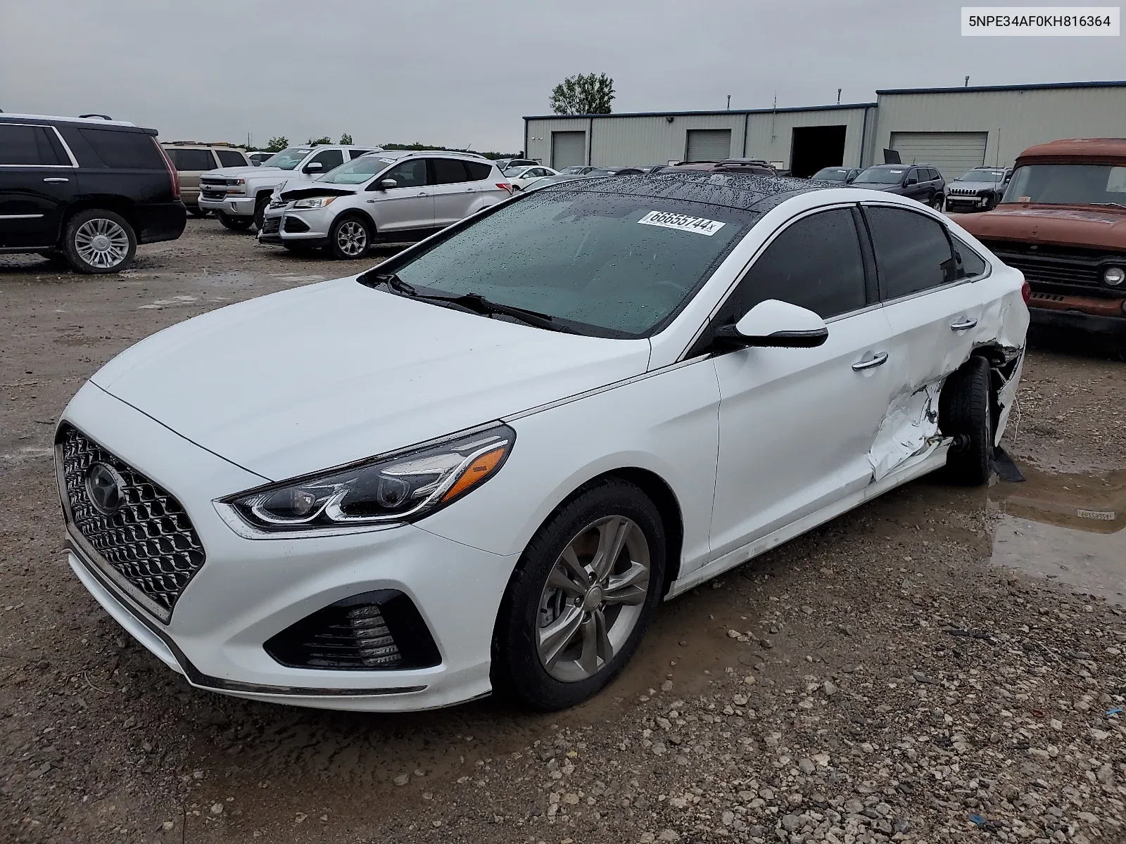 2019 Hyundai Sonata Limited VIN: 5NPE34AF0KH816364 Lot: 66655744