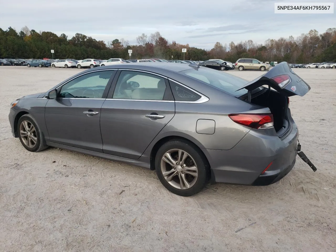 2019 Hyundai Sonata Limited VIN: 5NPE34AF6KH795567 Lot: 79039164