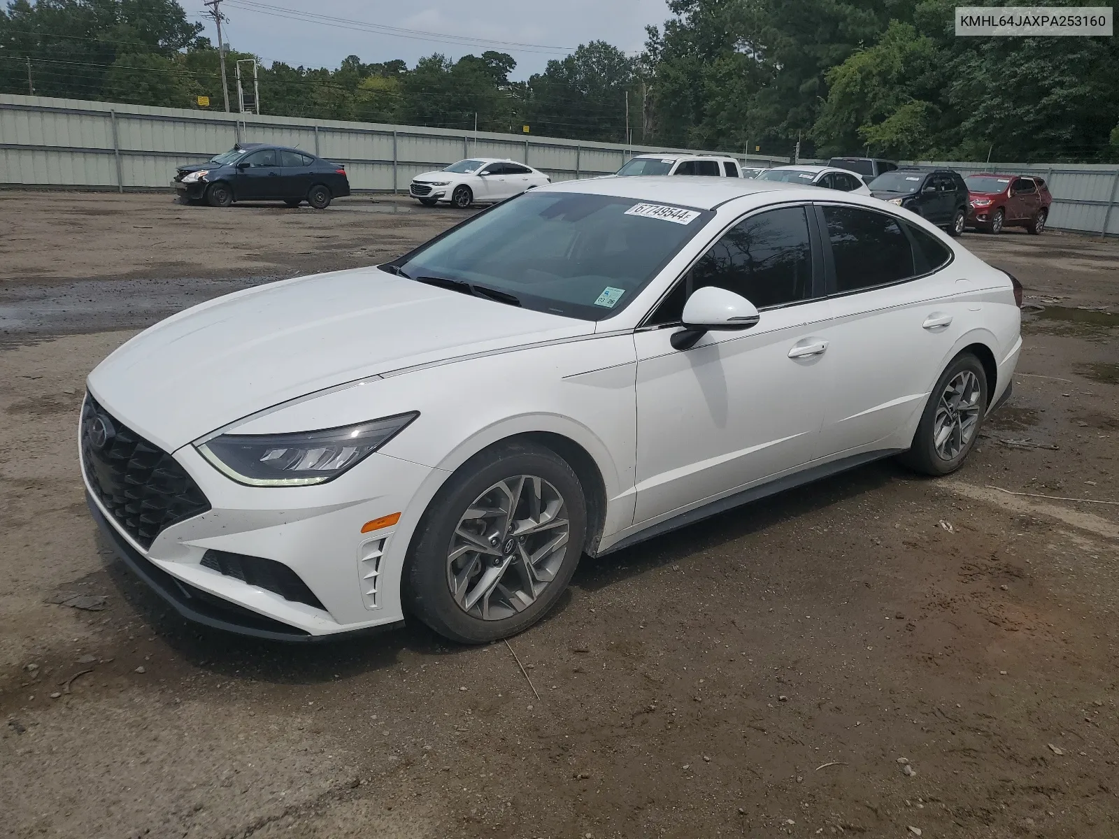 2023 Hyundai Sonata Sel VIN: KMHL64JAXPA253160 Lot: 67749544