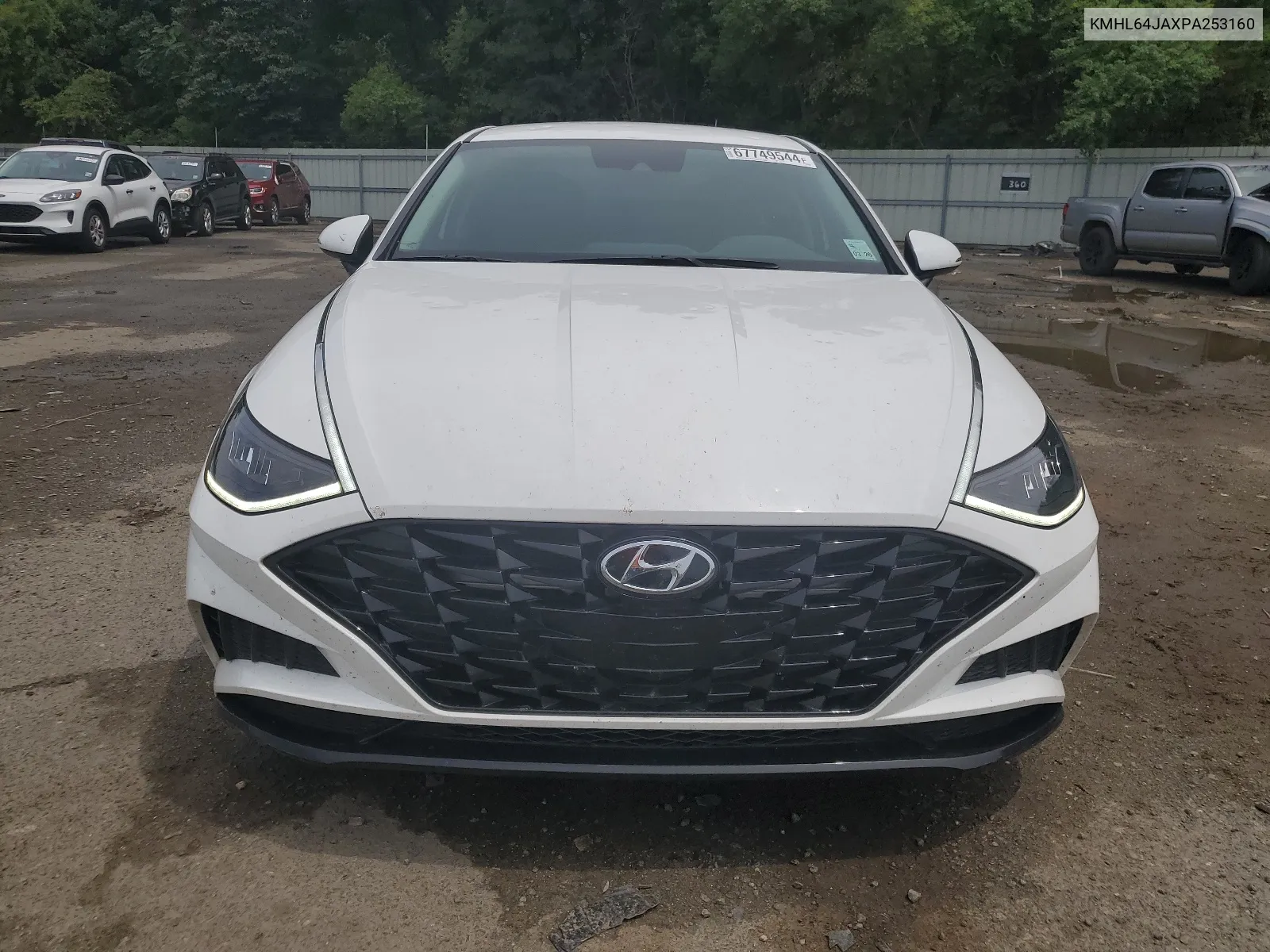 2023 Hyundai Sonata Sel VIN: KMHL64JAXPA253160 Lot: 67749544