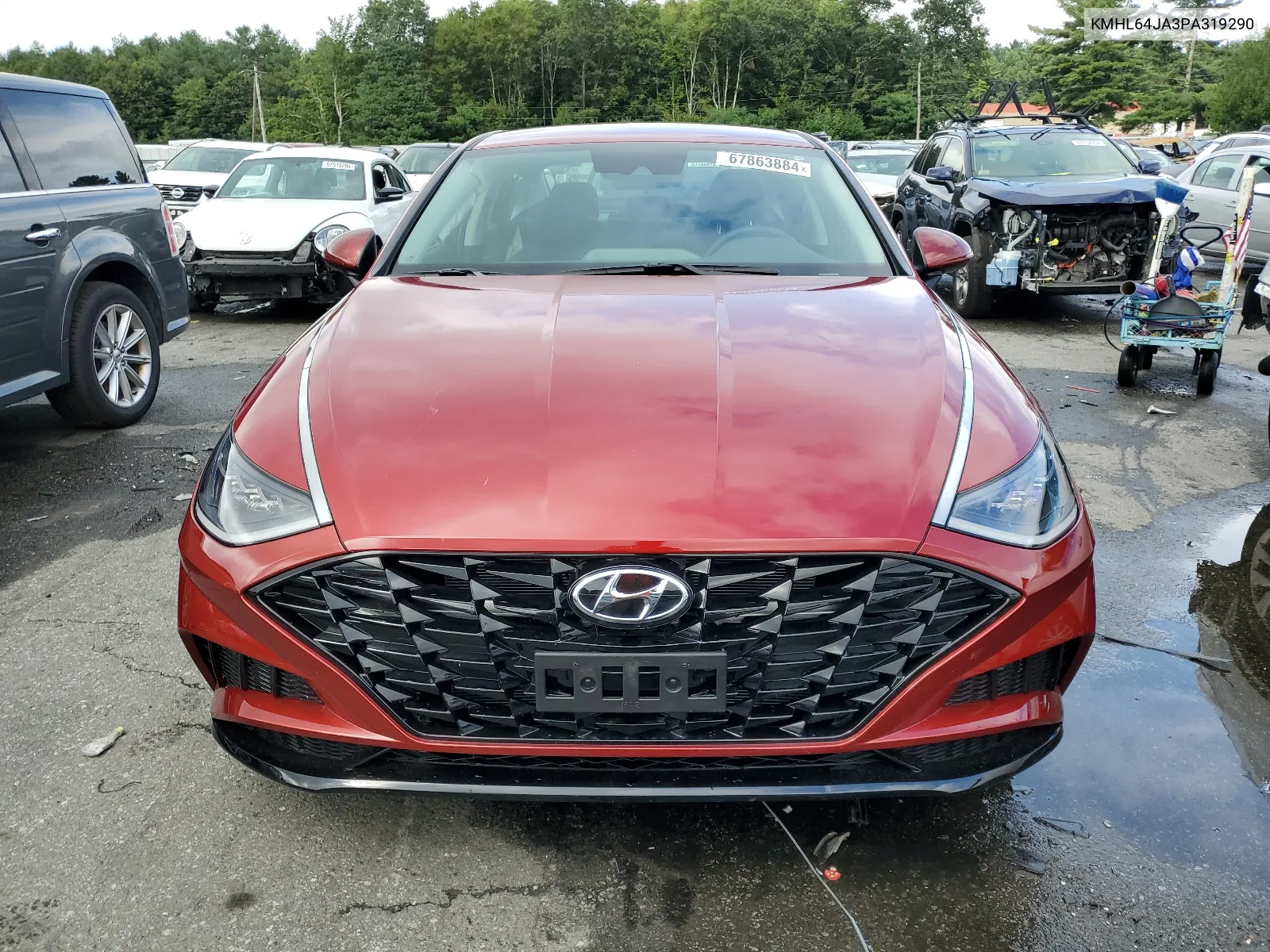 2023 Hyundai Sonata Sel VIN: KMHL64JA3PA319290 Lot: 67863884