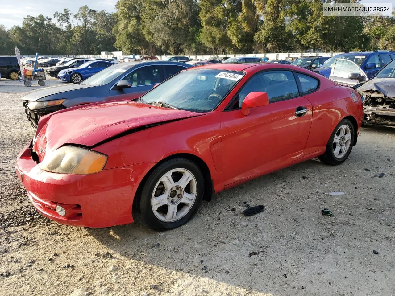 2003 Hyundai Tiburon VIN: KMHHM65D43U038524 Lot: 80569804