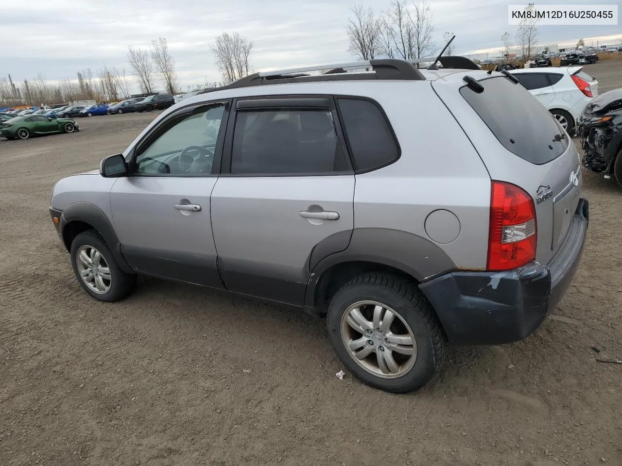 2006 Hyundai Tucson Gl VIN: KM8JM12D16U250455 Lot: 78788844