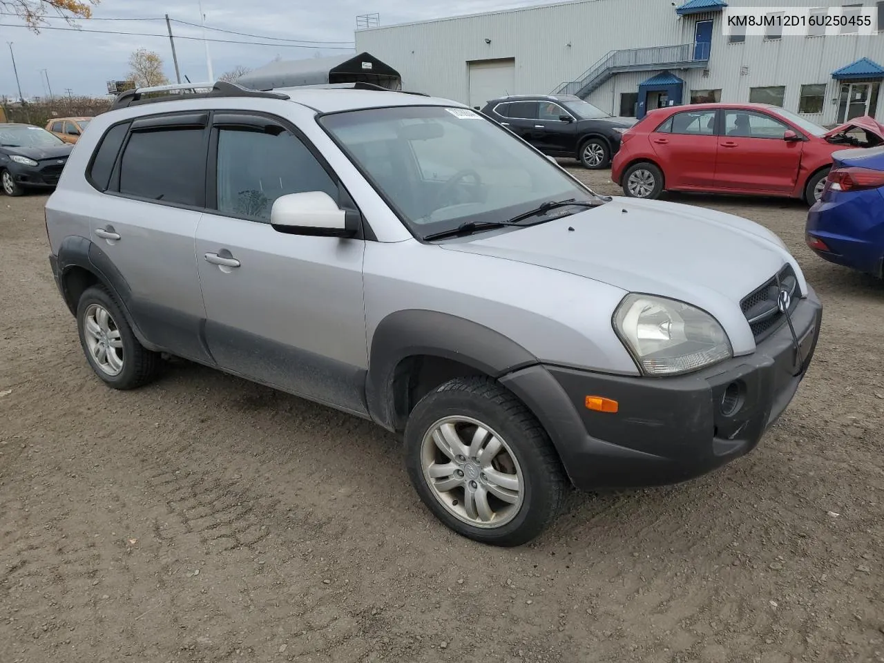 2006 Hyundai Tucson Gl VIN: KM8JM12D16U250455 Lot: 78788844