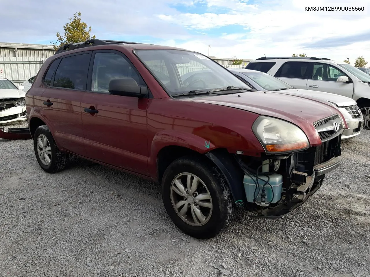 2009 Hyundai Tucson Gls VIN: KM8JM12B99U036560 Lot: 70460824